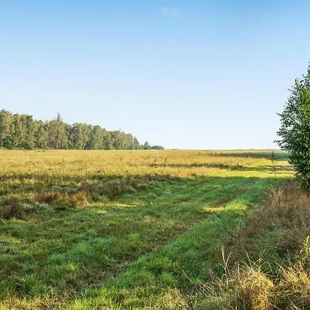 Stunning In With Kitchen